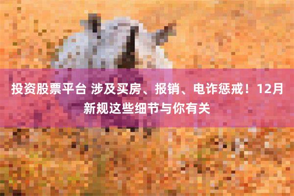 投资股票平台 涉及买房、报销、电诈惩戒！12月新规这些细节与你有关