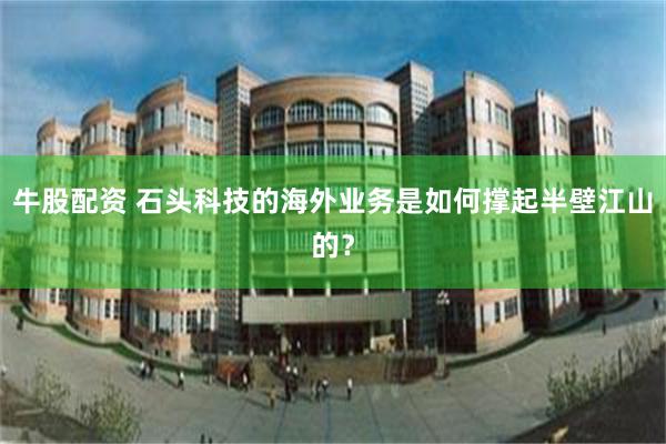 牛股配资 石头科技的海外业务是如何撑起半壁江山的？