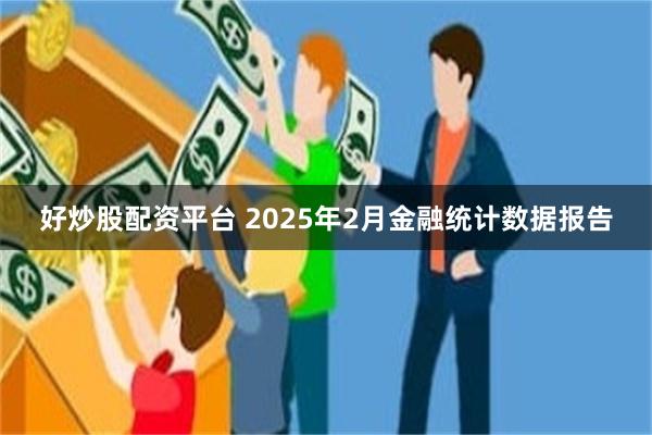 好炒股配资平台 2025年2月金融统计数据报告