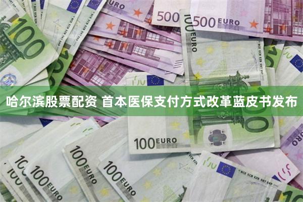 哈尔滨股票配资 首本医保支付方式改革蓝皮书发布