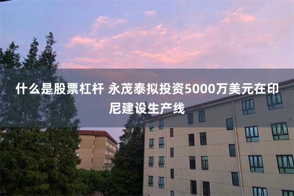 什么是股票杠杆 永茂泰拟投资5000万美元在印尼建设生产线