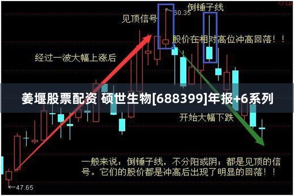 姜堰股票配资 硕世生物[688399]年报+6系列