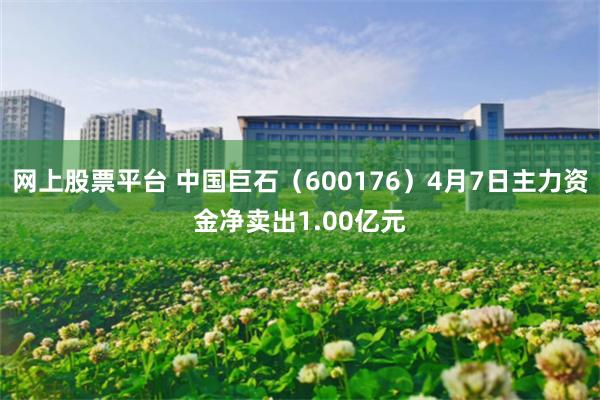网上股票平台 中国巨石（600176）4月7日主力资金净卖出1.00亿元