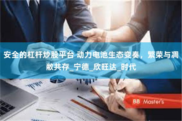安全的杠杆炒股平台 动力电池生态变奏，繁荣与凋敝共存_宁德_欣旺达_时代