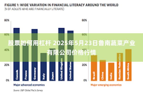 股票如何用杠杆 2025年5月23日鲁南蔬菜产业有限公司价格行情