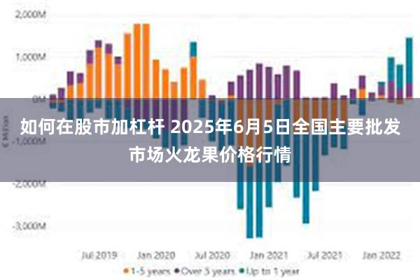 如何在股市加杠杆 2025年6月5日全国主要批发市场火龙果价格行情