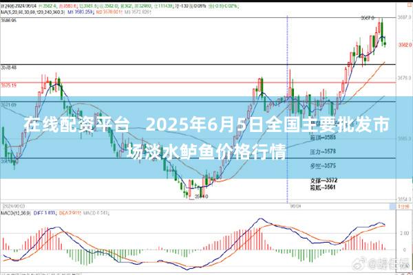 在线配资平台   2025年6月5日全国主要批发市场淡水鲈鱼价格行情