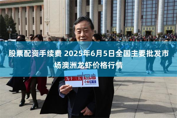 股票配资手续费 2025年6月5日全国主要批发市场澳洲龙虾价格行情