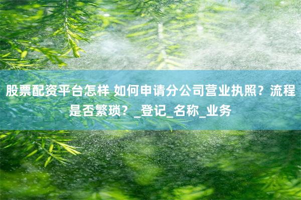 股票配资平台怎样 如何申请分公司营业执照？流程是否繁琐？_登记_名称_业务