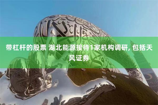 带杠杆的股票 湖北能源接待1家机构调研, 包括天风证券