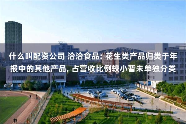 什么叫配资公司 洽洽食品: 花生类产品归类于年报中的其他产品, 占营收比例较小暂未单独分类