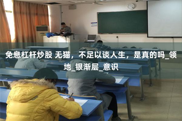 免息杠杆炒股 无猫，不足以谈人生，是真的吗_领地_银渐层_意识