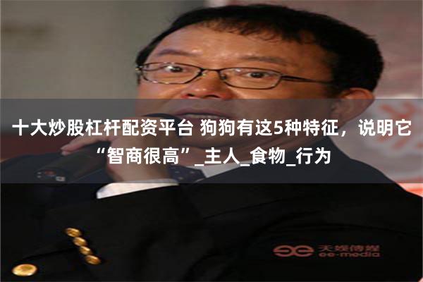 十大炒股杠杆配资平台 狗狗有这5种特征，说明它“智商很高”_主人_食物_行为