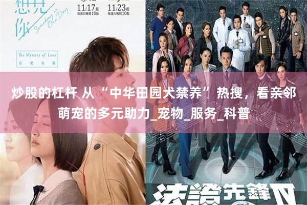 炒股的杠杆 从 “中华田园犬禁养” 热搜，看亲邻萌宠的多元助力_宠物_服务_科普