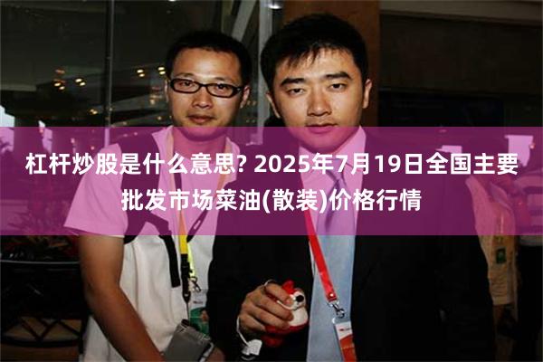 杠杆炒股是什么意思? 2025年7月19日全国主要批发市场菜油(散装)价格行情