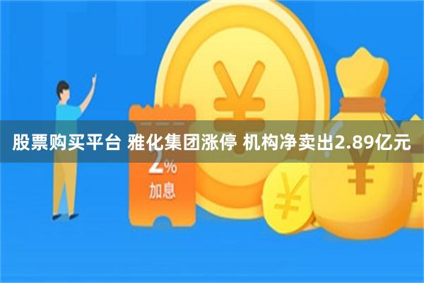 股票购买平台 雅化集团涨停 机构净卖出2.89亿元