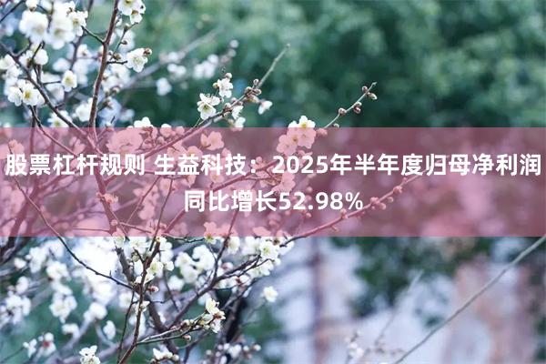 股票杠杆规则 生益科技：2025年半年度归母净利润同比增长52.98%