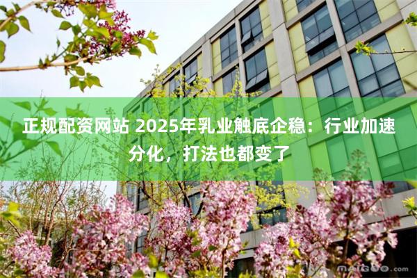 正规配资网站 2025年乳业触底企稳：行业加速分化，打法也都变了