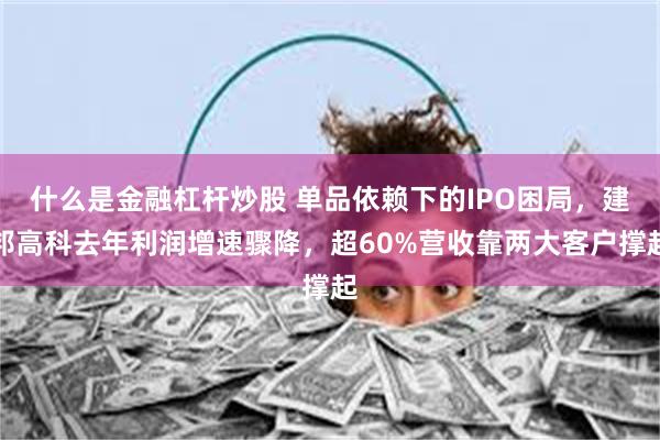 什么是金融杠杆炒股 单品依赖下的IPO困局，建邦高科去年利润增速骤降，超60%营收靠两大客户撑起