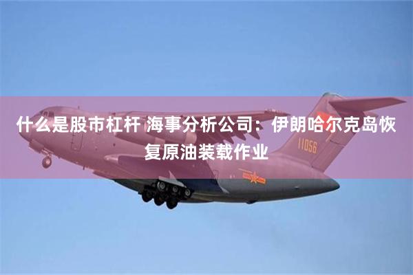 什么是股市杠杆 海事分析公司：伊朗哈尔克岛恢复原油装载作业