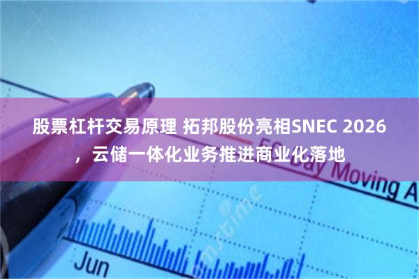 股票杠杆交易原理 拓邦股份亮相SNEC 2026,云储一体化业务推进商业化落地