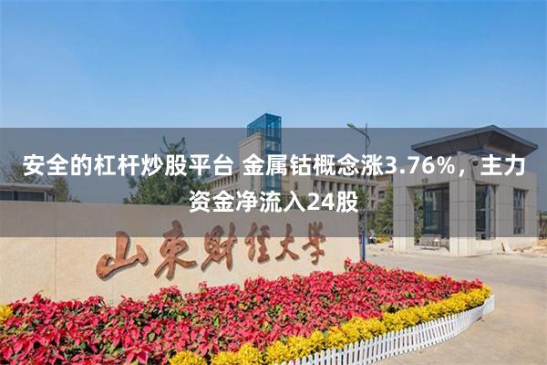 安全的杠杆炒股平台 金属钴概念涨3.76%，主力资金净流入24股