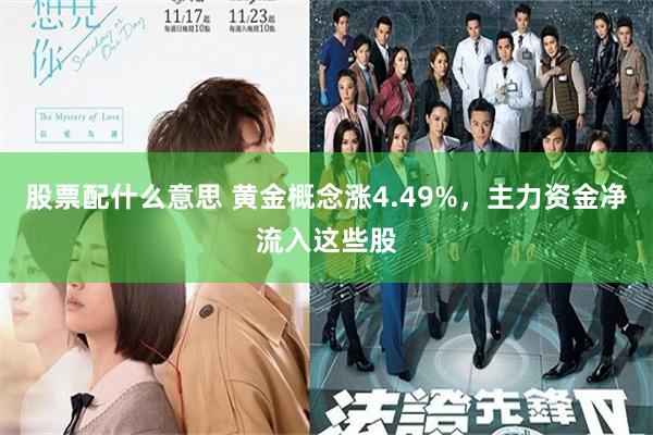 股票配什么意思 黄金概念涨4.49%，主力资金净流入这些股