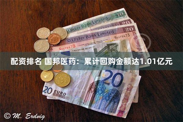 配资排名 国邦医药：累计回购金额达1.01亿元