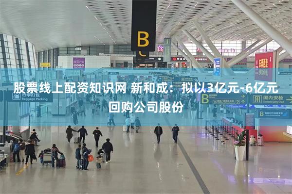 股票线上配资知识网 新和成：拟以3亿元-6亿元回购公司股份