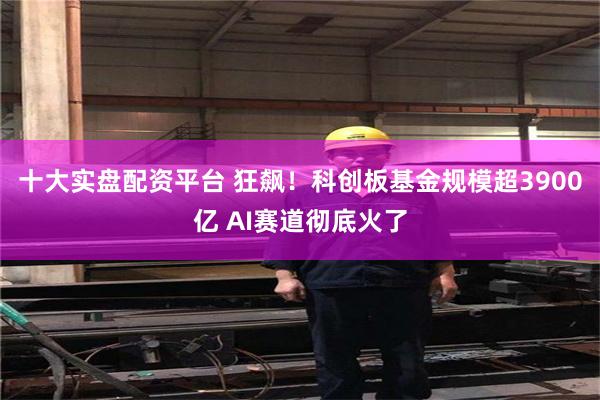 十大实盘配资平台 狂飙！科创板基金规模超3900亿 AI赛道彻底火了