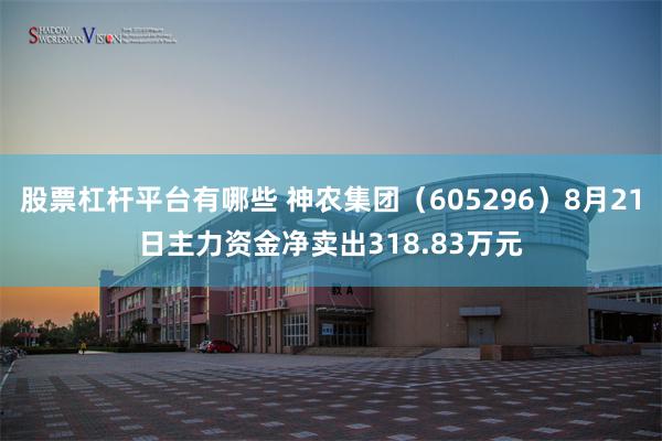 股票杠杆平台有哪些 神农集团（605296）8月21日主力资金净卖出318.83万元