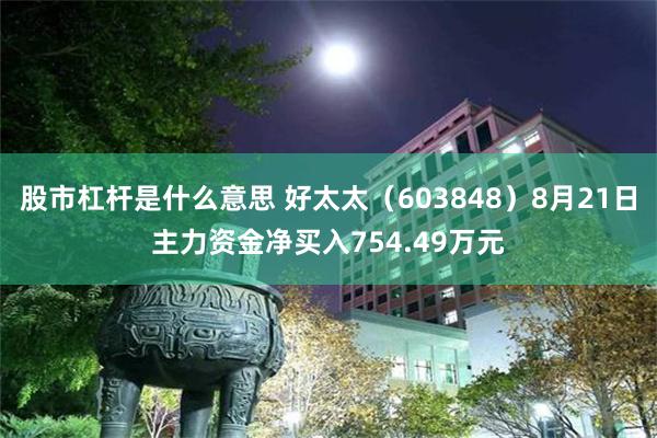 股市杠杆是什么意思 好太太(603848)8月21日主力资金净买入754.49万元