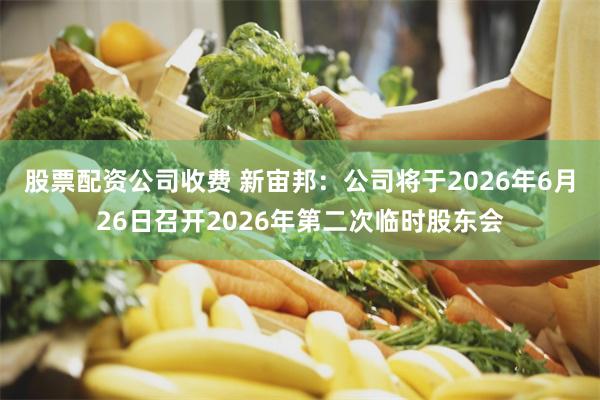 股票配资公司收费 新宙邦：公司将于2026年6月26日召开2026年第二次临时股东会