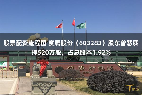 股票配资流程图 赛腾股份（603283）股东曾慧质押520万股，占总股本1.92%
