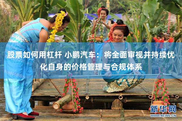 股票如何用杠杆 小鹏汽车：将全面审视并持续优化自身的价格管理与合规体系
