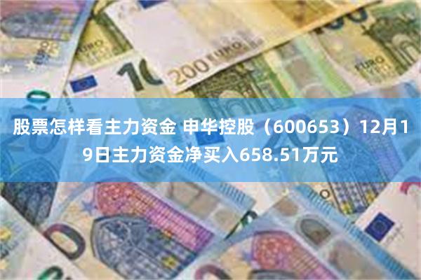 股票怎样看主力资金 申华控股(600653)12月19日主力资金净买入658.51万元