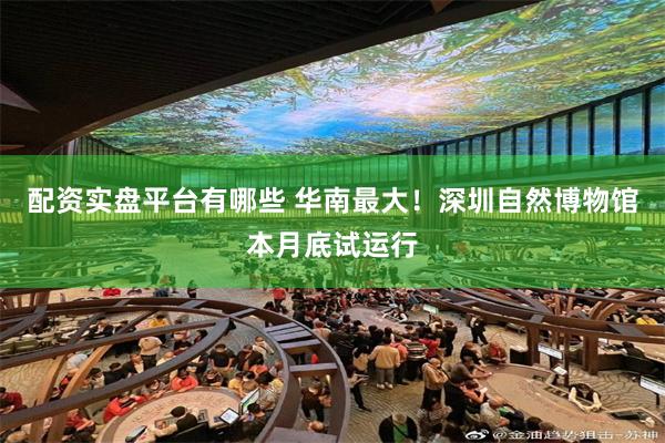 配资实盘平台有哪些 华南最大!深圳自然博物馆本月底试运行