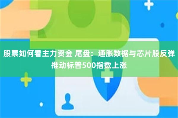 股票如何看主力资金 尾盘：通胀数据与芯片股反弹推动标普500指数上涨