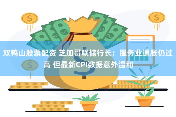 双鸭山股票配资 芝加哥联储行长：服务业通胀仍过高 但最新CPI数据意外温和