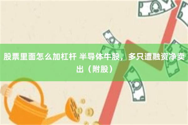 股票里面怎么加杠杆 半导体牛股,多只遭融资净卖出(附股)