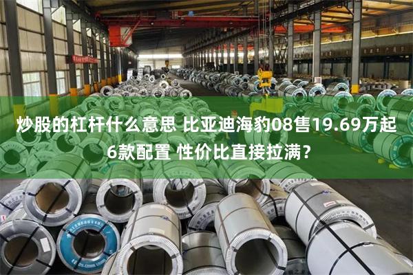 炒股的杠杆什么意思 比亚迪海豹08售19.69万起 6款配置 性价比直接拉满?