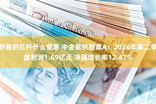 炒股的杠杆什么意思 中金新锐股票A:2026年第二季度利润1.69亿元 净值增长率12.47%
