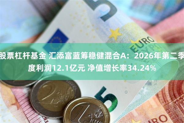 股票杠杆基金 汇添富蓝筹稳健混合A：2026年第二季度利润12.1亿元 净值增长率34.24%
