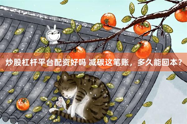 炒股杠杆平台配资好吗 减碳这笔账，多久能回本？