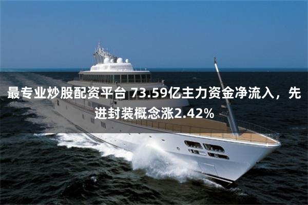 最专业炒股配资平台 73.59亿主力资金净流入，先进封装概念涨2.42%