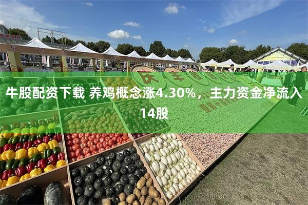 牛股配资下载 养鸡概念涨4.30%，主力资金净流入14股