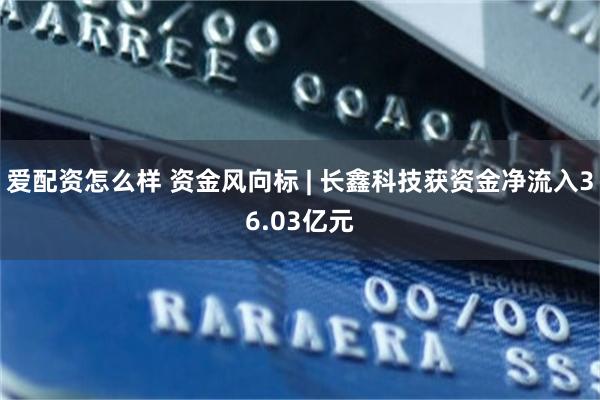 爱配资怎么样 资金风向标 | 长鑫科技获资金净流入36.03亿元