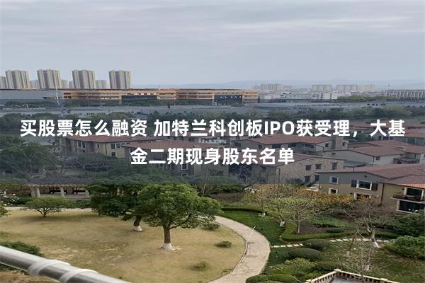 买股票怎么融资 加特兰科创板IPO获受理，大基金二期现身股东名单