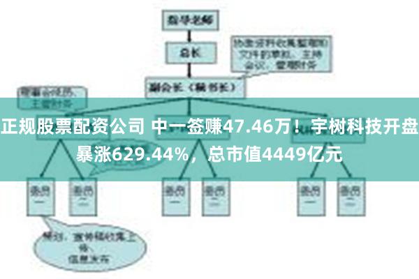 正规股票配资公司 中一签赚47.46万！宇树科技开盘暴涨629.44%，总市值4449亿元