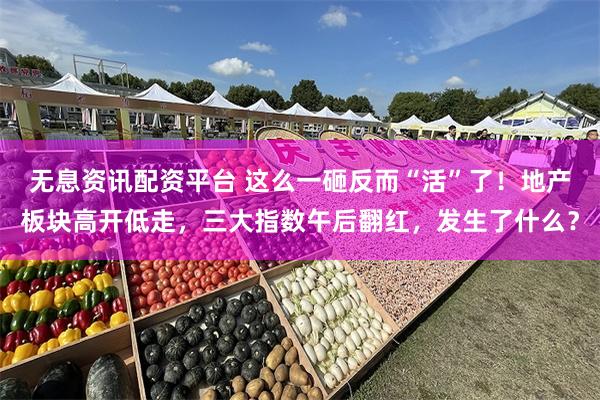 无息资讯配资平台 这么一砸反而“活”了！地产板块高开低走，三大指数午后翻红，发生了什么？